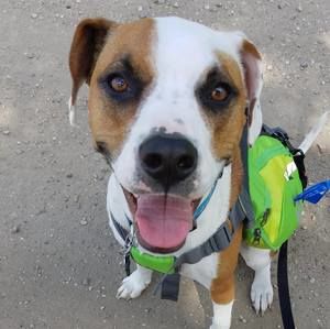 Meet your Posher, John